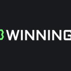 600x300 winningz